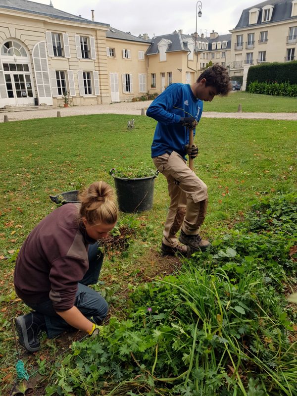 Bac professionnel Aménagements Paysagers en apprentissage