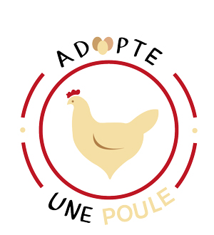 Adopter Une Poule A Genech Des Oeufs Assures Votre Avenir Au Coeur De La Nature