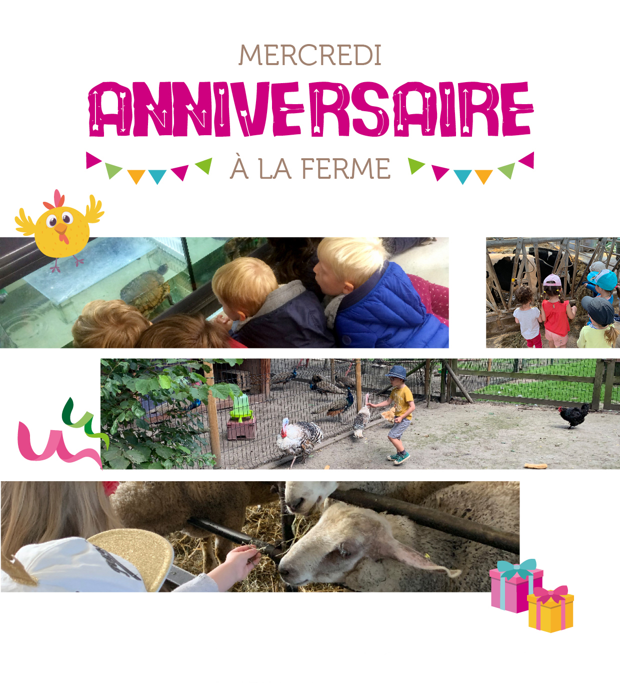 Feter Son Anniversaire A La Ferme Institut De Genech