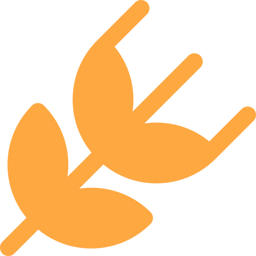Icone-vegetal-orange