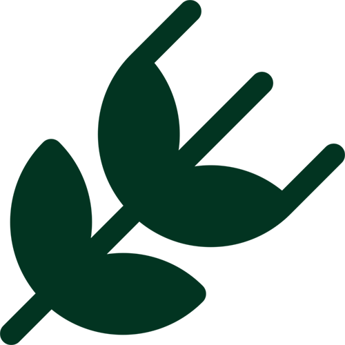 Icone-vegetal-vert