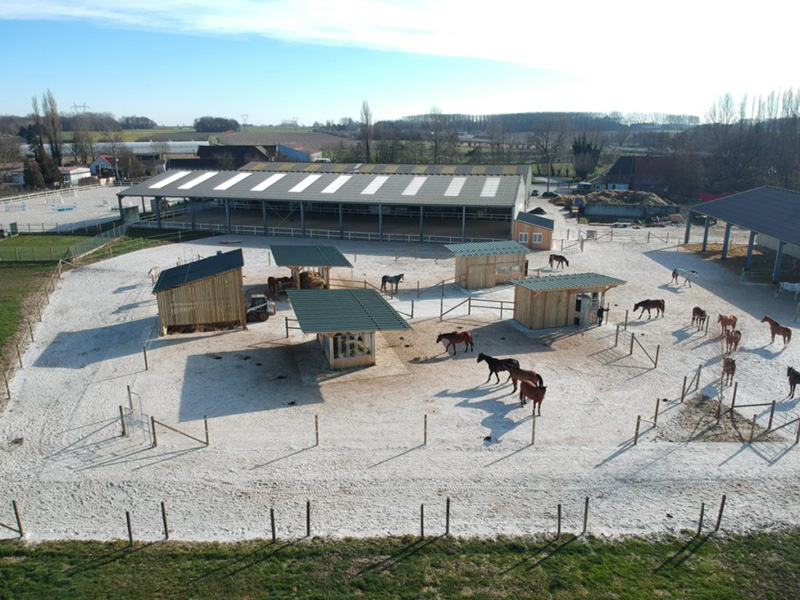 groupe-institut-genech-ecurie