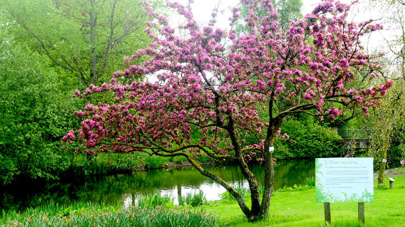 groupe-institut-genech-jardin