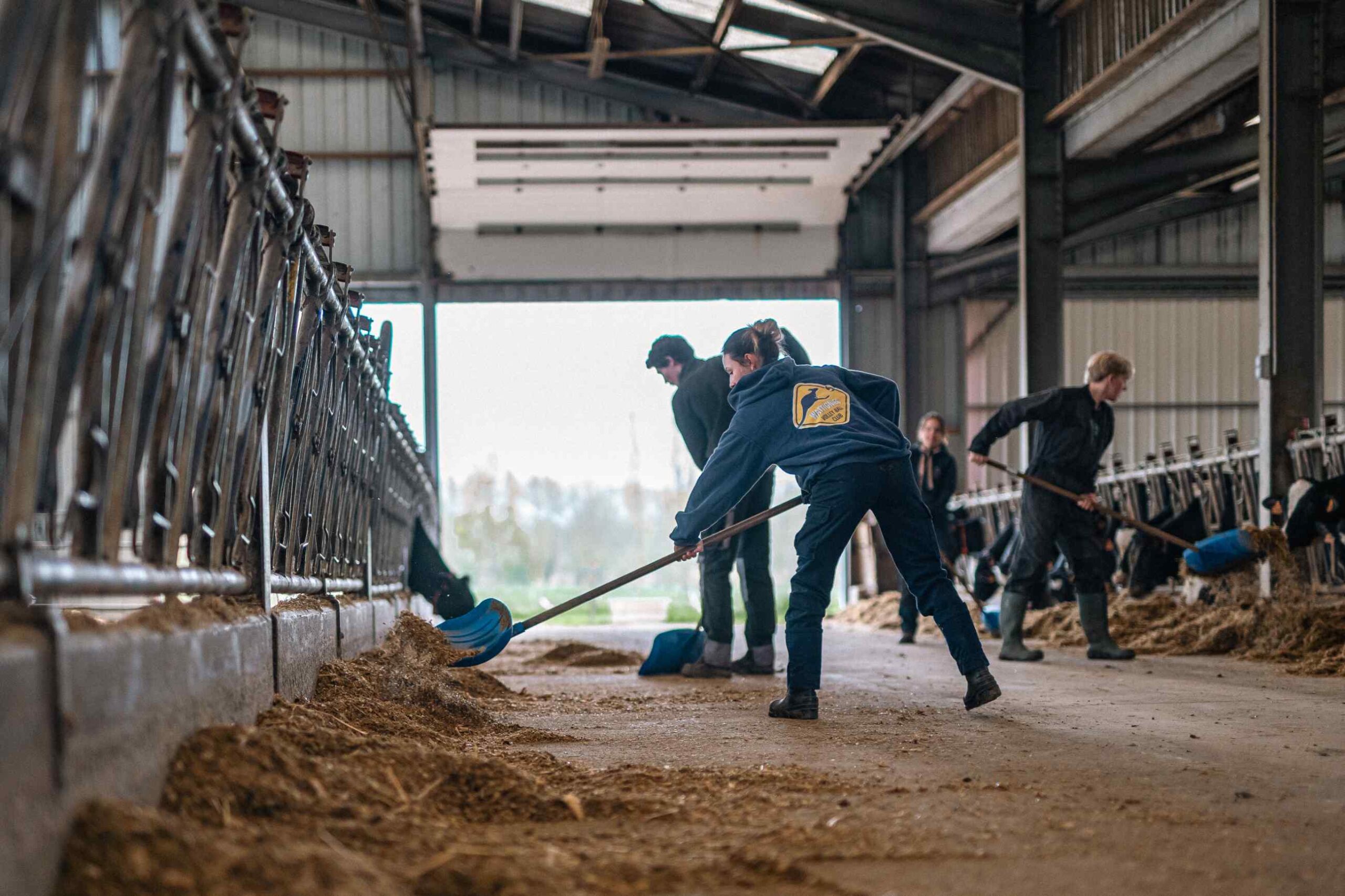 Agriculture-009