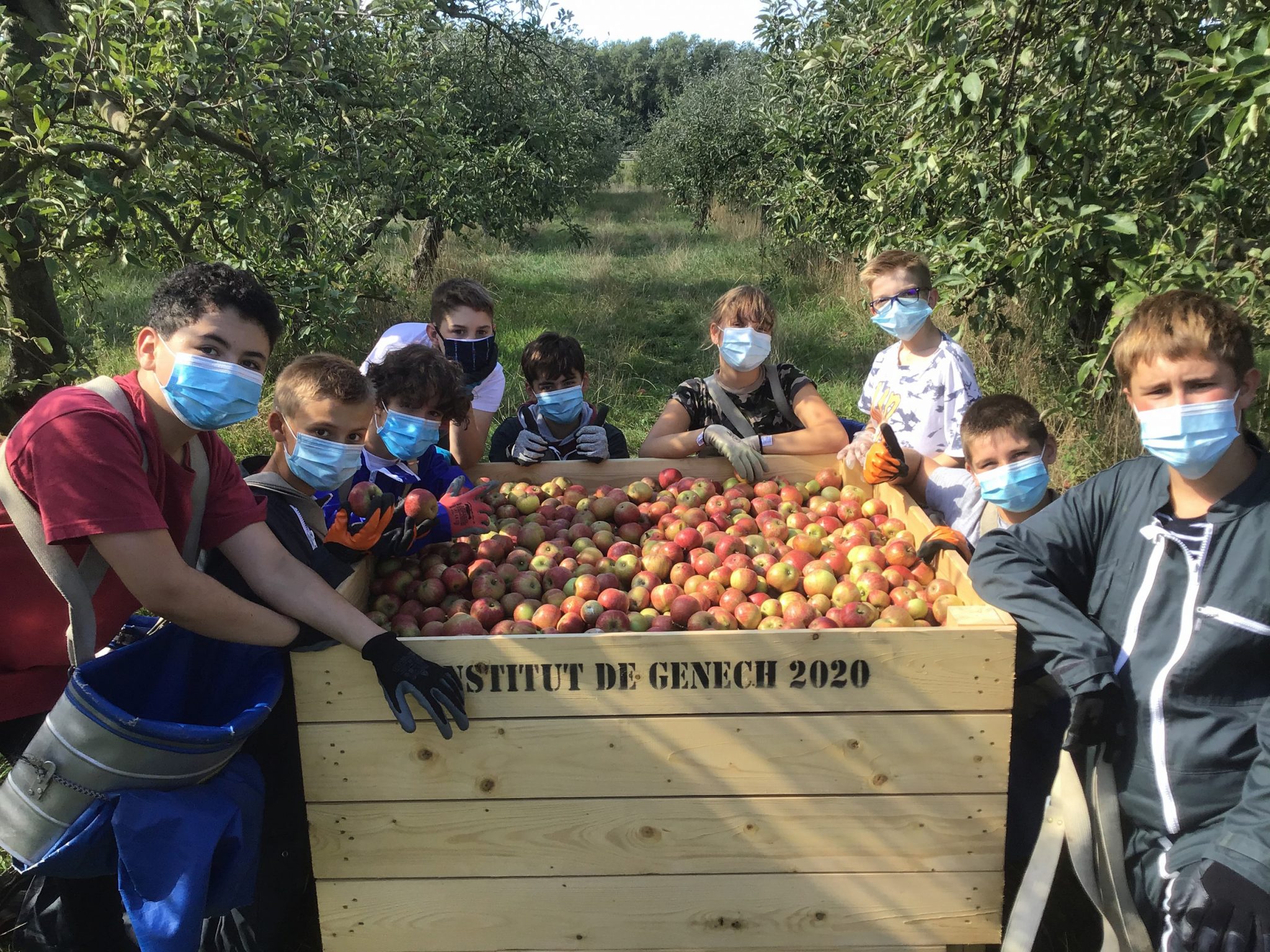 Cueillette de pommes Institut de Genech